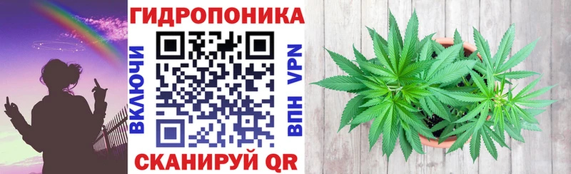 Бошки марихуана THC 21%  Купить где  Новохопёрск 